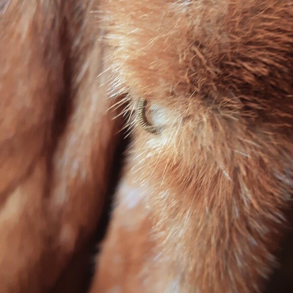 1960s Kosky Beige Mink Vintage Fur Shawl CollarJacket Coat - Picture 6 of 13